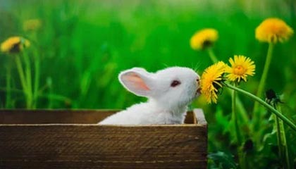 开云体育中国官网-摩洛哥队在巴黎奥运会男足比赛中展现出高效的传球配合，摩洛哥足球队主力