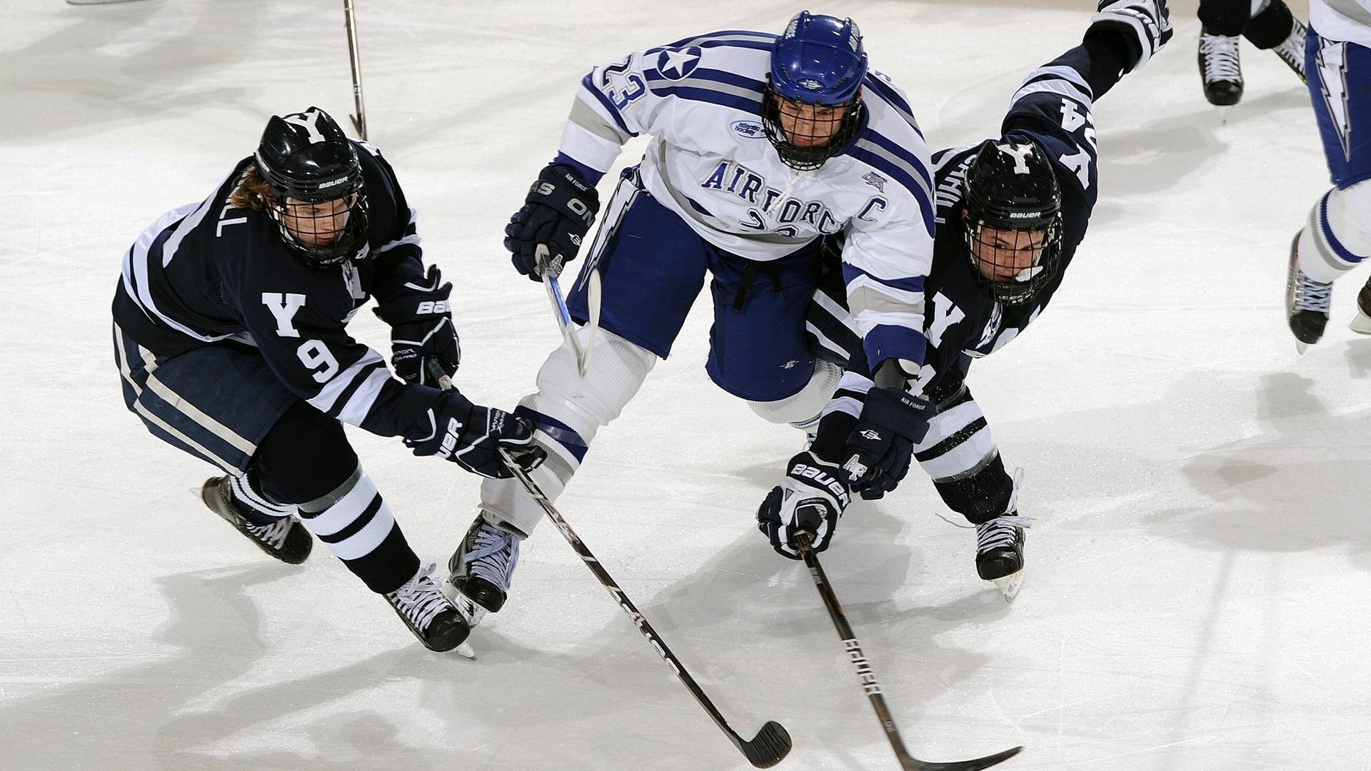 开云·体育官网APP下载-德甲决战，教练分享战术变化心得，德甲收官战